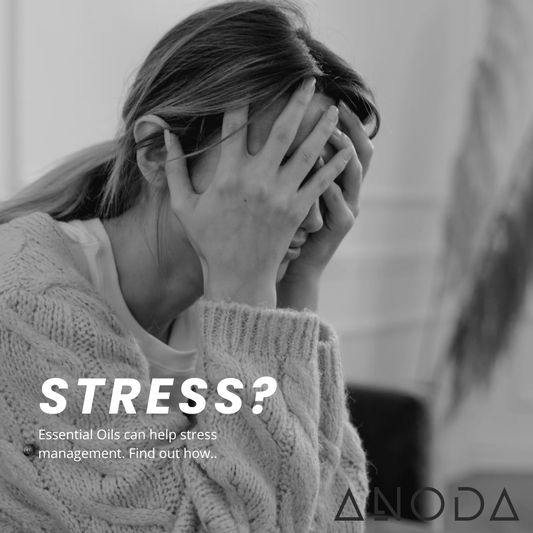 Neuroendocrine Stress Regulation and Essential Oil Blends: How Aromatic Compounds Influence Cortisol, Recovery, and Human Performance